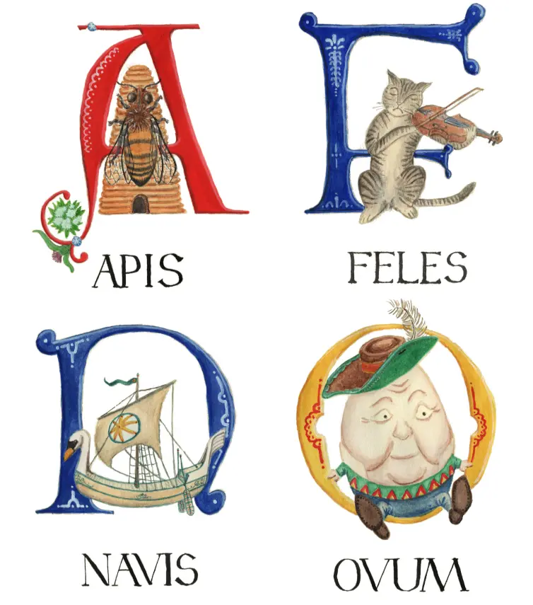Latin Alphabet Book; Each letter is accompanied by a watercolour creature or object. There is a set of Latin prayers at the end and a dedication page that you can fill in yourself.; See more [booklets I've produced here](../publications).