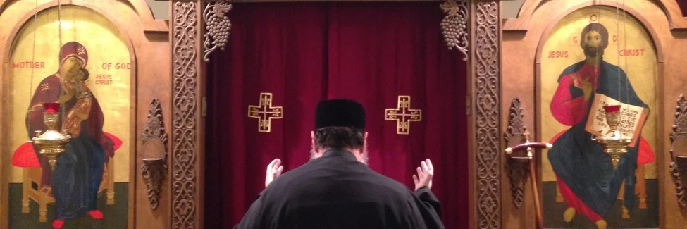 Celibacy in Context by Fr. Maximos Davies